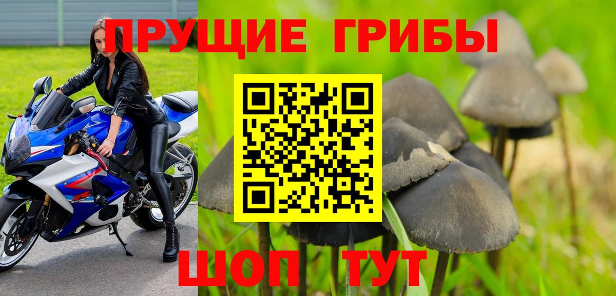 Галлюциногенные грибы прущие грибы  Псилоцибиновые грибы Magic Shrooms  Переславль-Залесский  Вход с VPN 